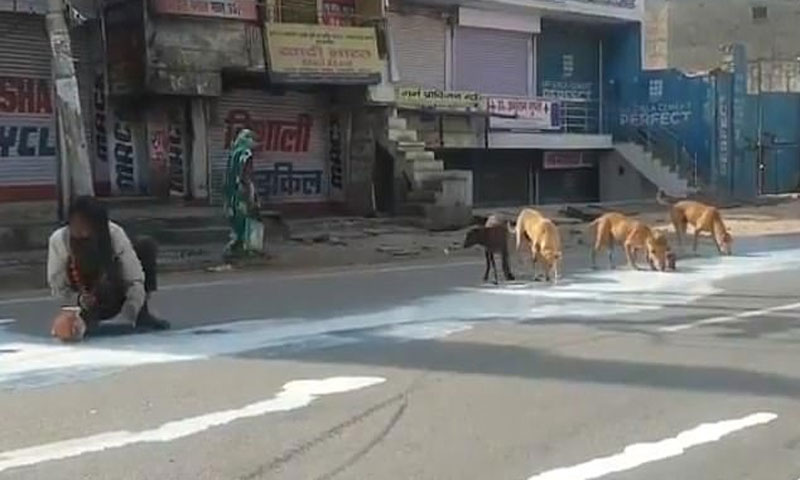 بھارت میں لاک ڈاؤن کے نتائج، بھوک نے انسان اور جانور ایک برابر کر دیے