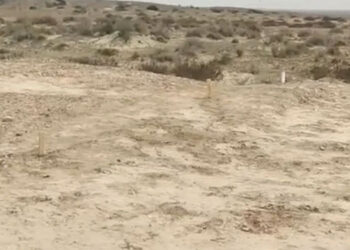 موہن جوداڑو اور ہڑپہ کے بعد صحرائے چولستان میں سات ہزار سال قدیم انڈس تہذیب کا دوسرا بڑا شہر دریافت