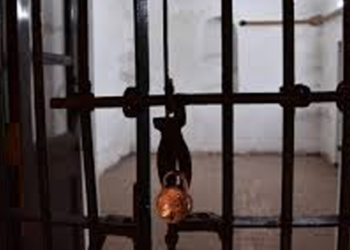 2نمبر چیئر مین نیب بھائی سمیت گرفتار ، دونوں نے کیا کیا کارروائیاں کی تھیں ؟