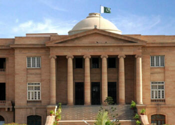 بیٹوں سے تحفظ کیلئے بزرگ باپ عدالت جا پہنچا