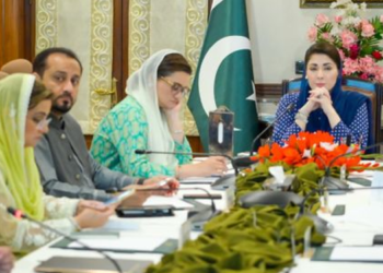 پنجاب حکومت کا گھروں پر صفائی ستھرائی چارجز لگانے کا فیصلہ، کتنے مرلے کے گھر پر کتنا ٹیکس لگے گا ؟