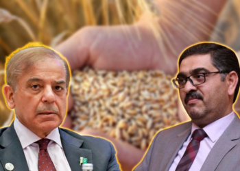 گندم اسکینڈل کے ذمہ داروں کا تعین ہوگیا، وزیراعظم نے کارروائی کی منظوری دیدی، تفصیلات سامنے آگئیں