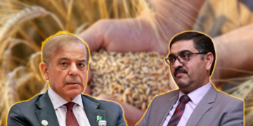 گندم اسکینڈل کے ذمہ داروں کا تعین ہوگیا، وزیراعظم نے کارروائی کی منظوری دیدی، تفصیلات سامنے آگئیں