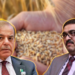 گندم اسکینڈل کے ذمہ داروں کا تعین ہوگیا، وزیراعظم نے کارروائی کی منظوری دیدی، تفصیلات سامنے آگئیں
