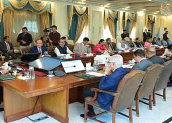 وزیراعظم کا اسٹریٹجک اداروں کے علاوہ تمام حکومتی ملکیتی اداروں کی نجکاری کا اعلان