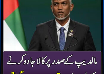مالدیپ کے صدر پر کالا جادو کرنے کے الزام میں خاتون اور دو وزراء گرفتار