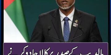 مالدیپ کے صدر پر کالا جادو کرنے کے الزام میں خاتون اور دو وزراء گرفتار