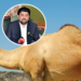 وڈیرے کاغریب شخص کے اونٹ کی ٹانگ کاٹنے کا واقعہ ، گورنر سندھ کا زخمی اونٹ کے مالک کو 2 اونٹ دینے کا اعلان