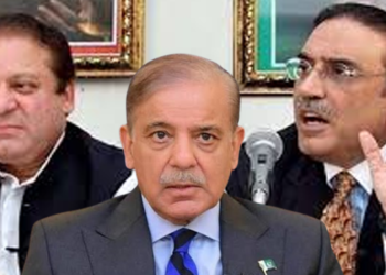 میگا کرپشن کیسز میں سے آدھے بند یا نمٹا دیئے گئے، مستفید ہونے والوں میں نواز، شہباز اور زرداری سمیت کون کون شامل ؟