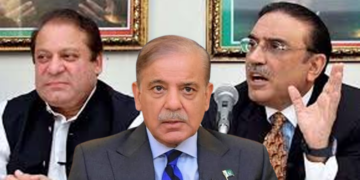 میگا کرپشن کیسز میں سے آدھے بند یا نمٹا دیئے گئے، مستفید ہونے والوں میں نواز، شہباز اور زرداری سمیت کون کون شامل ؟