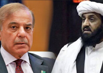 دبائو میں بنی حکومت کے سربراہ کو دبائو بھاری کیوں لگ رہا ہے ، استعفیٰ دینا کہیں ’’ باس ‘‘ کا حکم تو نہیں ؟ حافظ حمد اللہ نے شہباز شریف کے بیان کی وضاحت مانگ لی