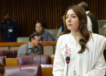 تحریک انصاف والے ہائوس نہیں چلنے دیتے، شرمیلا فاروقی