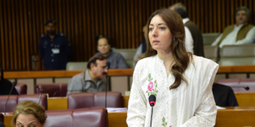 تحریک انصاف والے ہائوس نہیں چلنے دیتے، شرمیلا فاروقی
