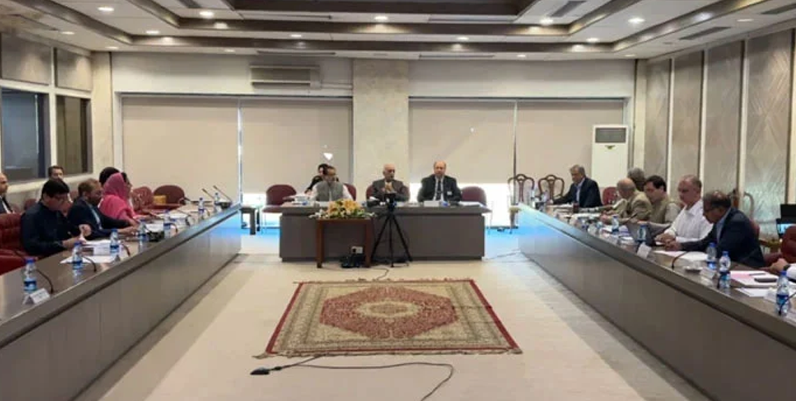 سمندر پار پاکستانیوں کو الیکشن لڑنے کی تجویز پر اتفاق،پارلیمان کی خصوصی کمیٹی نے آئینی مسودہ متفقہ طور پر منظور کر لیا