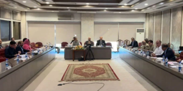 سمندر پار پاکستانیوں کو الیکشن لڑنے کی تجویز پر اتفاق،پارلیمان کی خصوصی کمیٹی نے آئینی مسودہ متفقہ طور پر منظور کر لیا