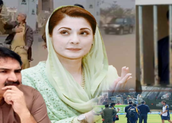 کرکٹ ،میڈم وزیر اعلیٰ،ٹک ٹاک اور ایس ایچ او