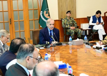 سوشل میڈیا پر جھوٹ کا طوفان نہ روکا تو تمام کاوشیں دریا بُرد ہوجائیں گی، وزیراعظم