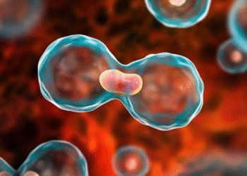 جوان افراد میں تیزی سے پھیلنے والے کینسر کی 5 خاموش علامات جنہیں عام بات سمجھ کر نظرانداز کر دیا جاتا ہے