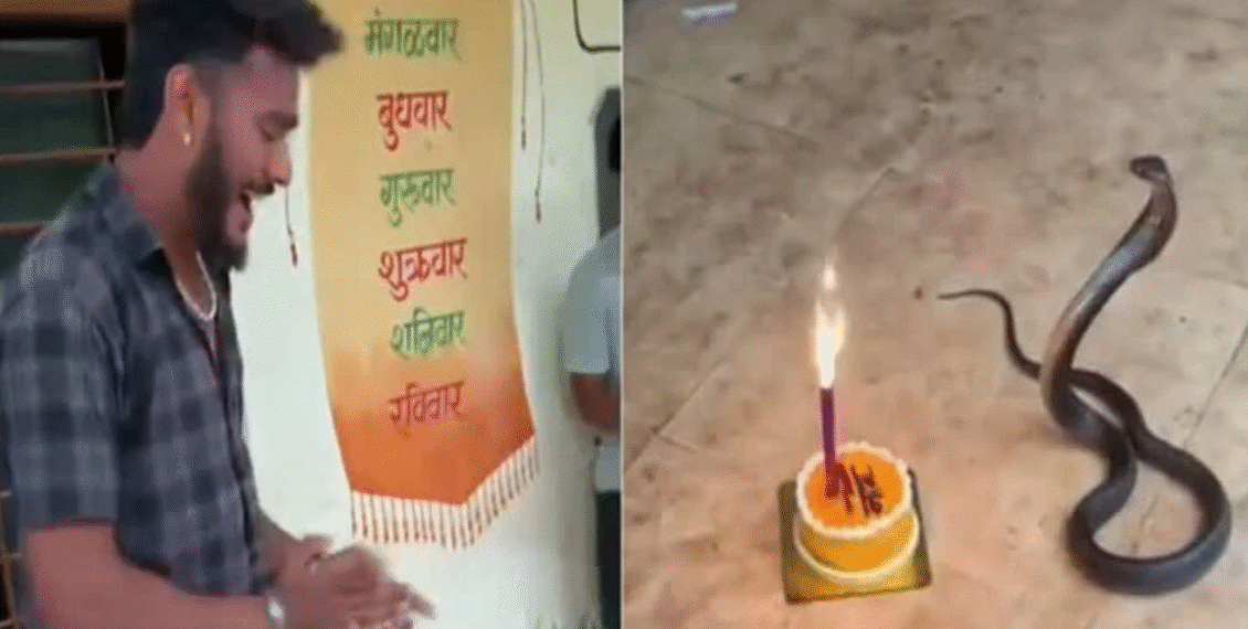 نوجوان کو سانپ کی سالگرہ منانا مہنگا پڑ گیا