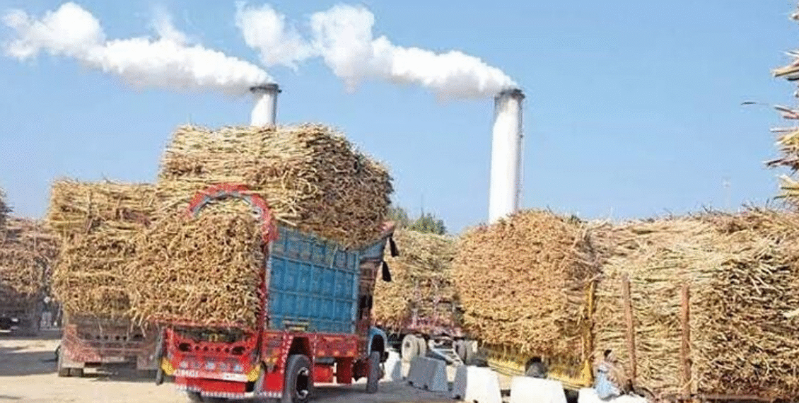 کون سی پاکستانی سیاسی شخصیت کس شوگر مل میں حصے دار، سب کے نام اور تفصیلات سامنے آگئیں