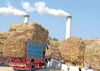 کون سی پاکستانی سیاسی شخصیت کس شوگر مل میں حصے دار، سب کے نام اور تفصیلات سامنے آگئیں