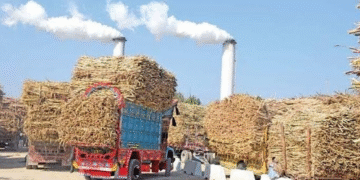 کون سی پاکستانی سیاسی شخصیت کس شوگر مل میں حصے دار، سب کے نام اور تفصیلات سامنے آگئیں