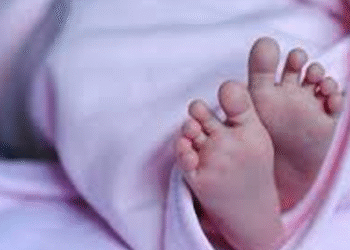 بھارت: اندور کے اسپتال میں چوہوں کے کاٹنے سے دو نوزائیدہ بچوں کی موت، عوام کا شدید رد عمل ، تفصیلات سامنے آگئیں 