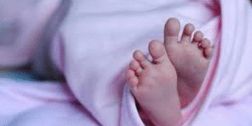 بھارت: اندور کے اسپتال میں چوہوں کے کاٹنے سے دو نوزائیدہ بچوں کی موت، عوام کا شدید رد عمل ، تفصیلات سامنے آگئیں 