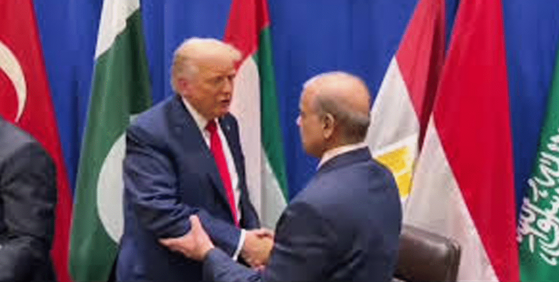 فیلڈ مارشل کے بعد شہباز ٹرمپ ملاقات