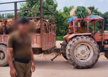 سیلاب زدگان کی امداد کے دعوے من گھڑت،ملتان پولیس نے مبینہ طور پر وزیر اعلیٰ پنجاب کو جعلی اعداد و شمار بھیج دیے