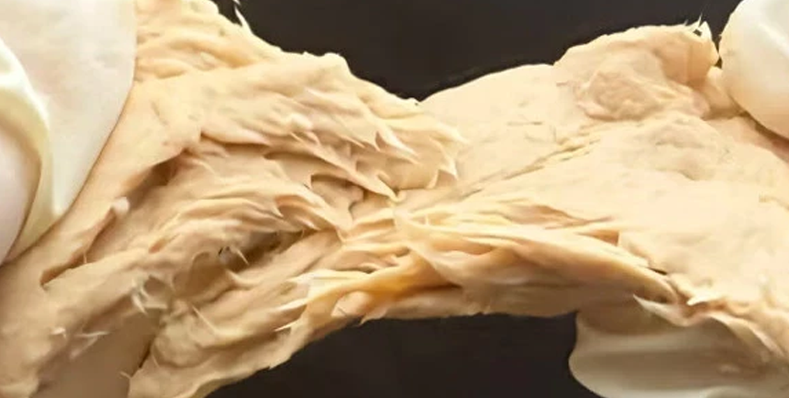 چینی سائنسدانوں نے مرغی کا متبادل گوشت تیار کر لیا